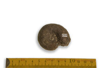 F 02248
<br/>
<br/>
<em></em>